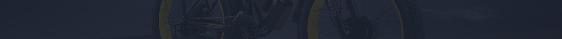 banner ebike