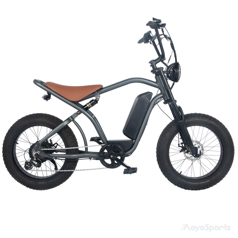 Vintage & Retro Electric Bicycle