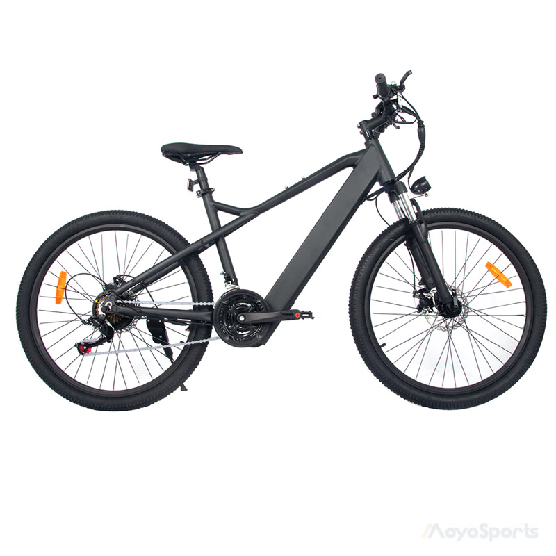 Electric Mountain Bike