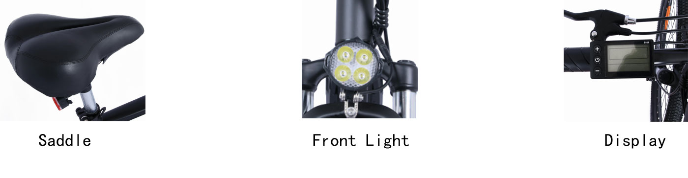 ebike mountain bike
