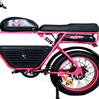 retro style electric bike Dual Battery