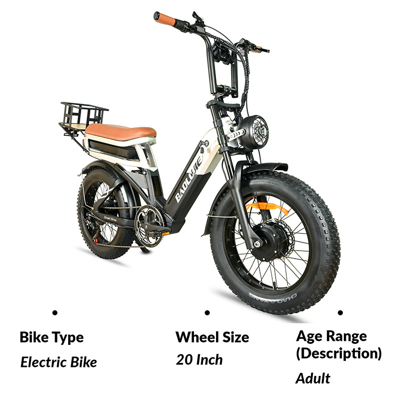 Retro Electric Bicycle Electric Pedal Integrated Bicycle