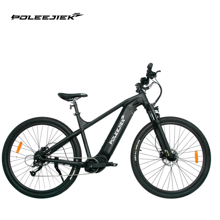 Electric Mountain Bike DP-2620