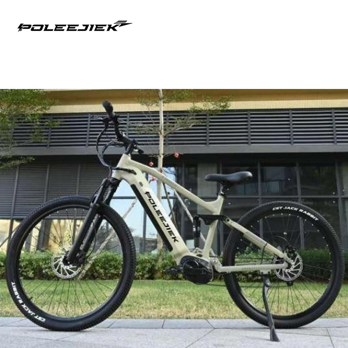 mid drive electric bike for sale,best mid drive electric bike,mid mounted motor electric bike,mid drive e bikes for sale