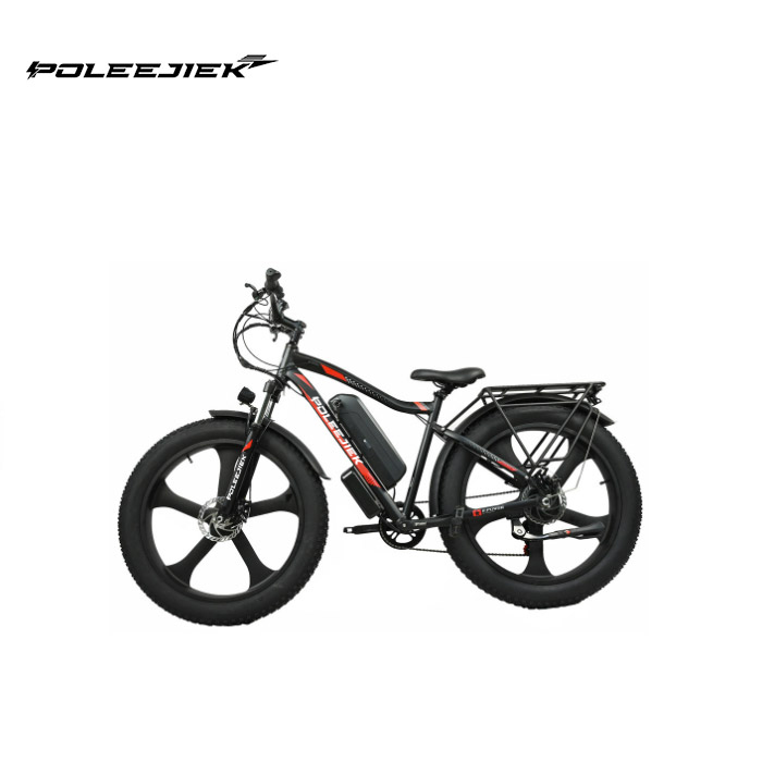 Electric Mountain Bike