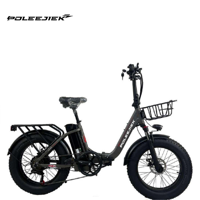 Foldable Electric Bicycle DZ-2030