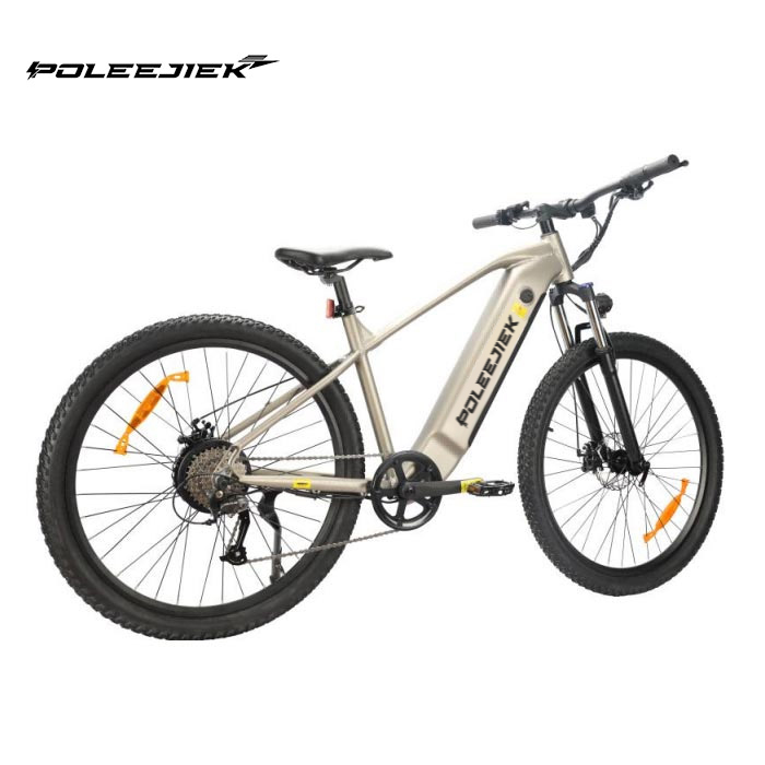 Electric Cross Country Bike