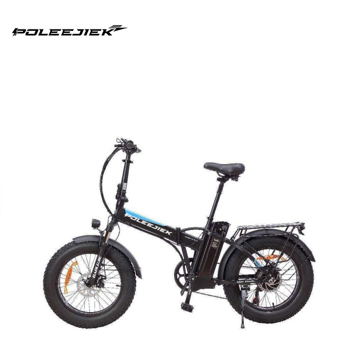 Adult Folding Electric Bike