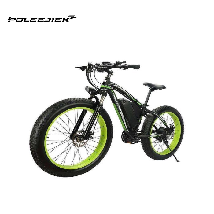 Electric Off Road Mountain Bike