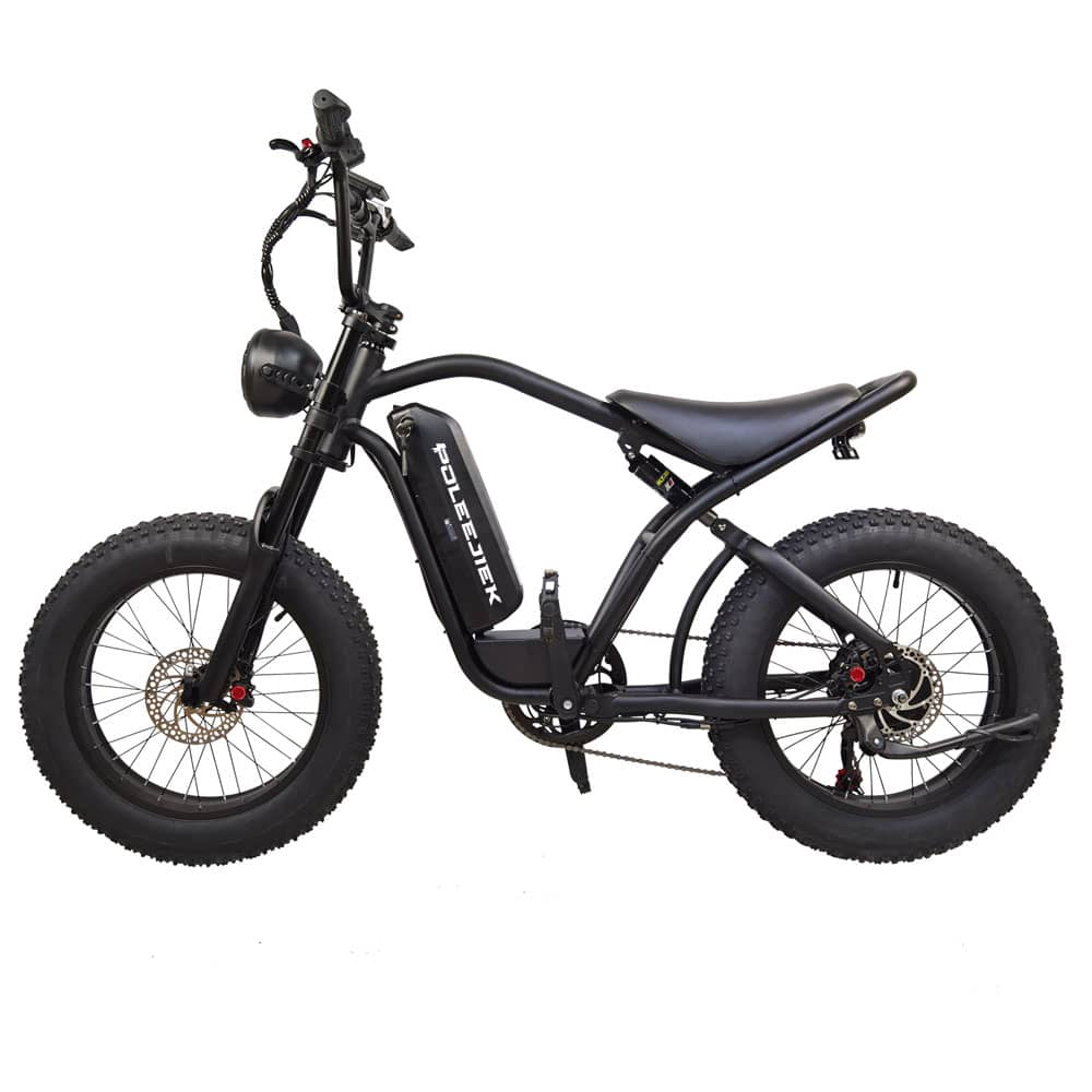 Vintage Looking Electric Bike