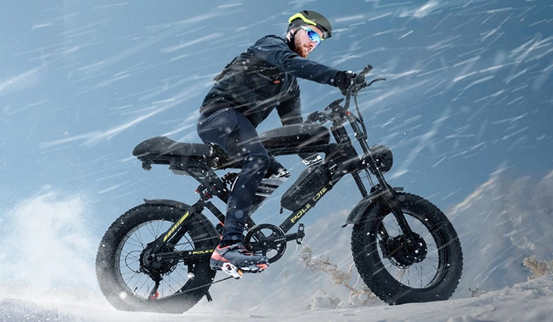 POLEEJIEK retro ebikes