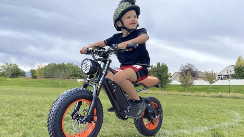 Senior-friendly POLEEJIEK e-bike with step-through frame