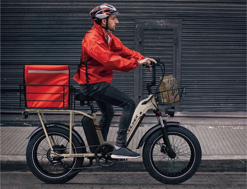 POLEEJIEK Heavy Duty Electric Cargo Bike with dual child seats