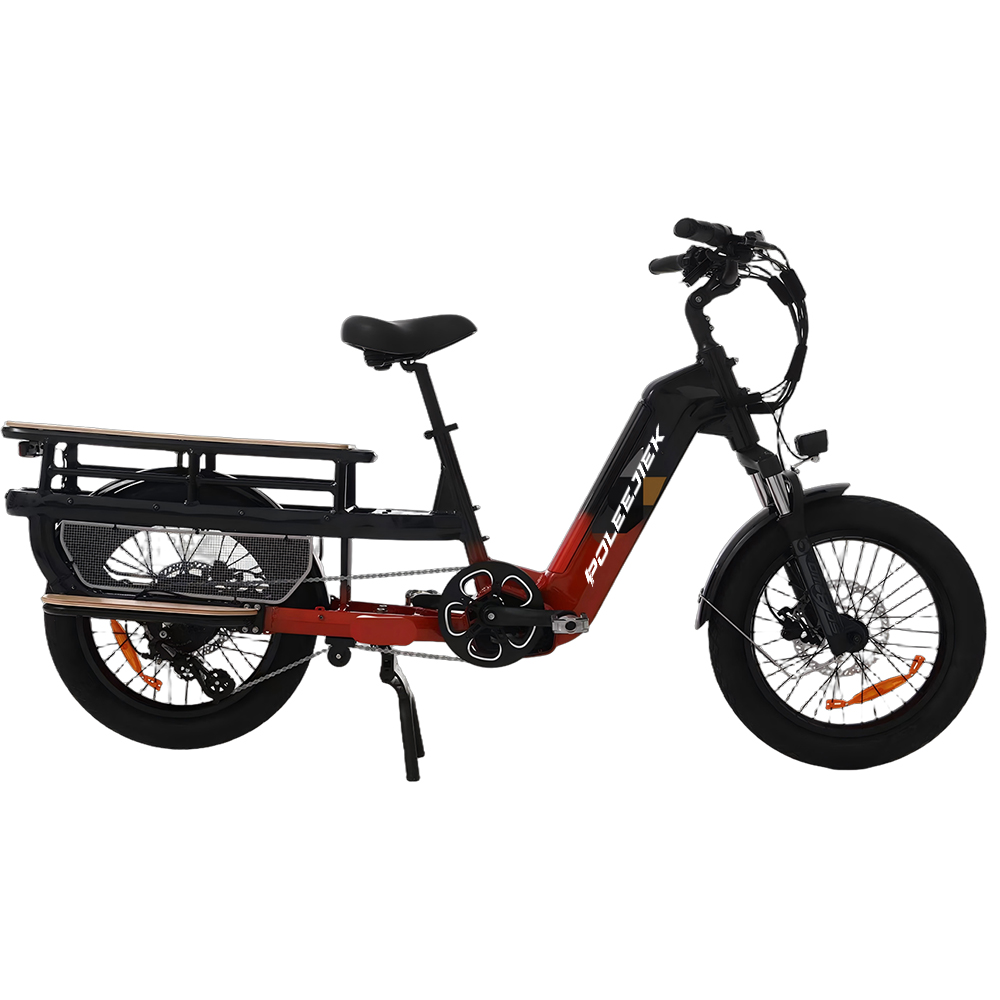 BLJ-DC009 Cargo Electric Bike with 750W Motor and 48V Battery