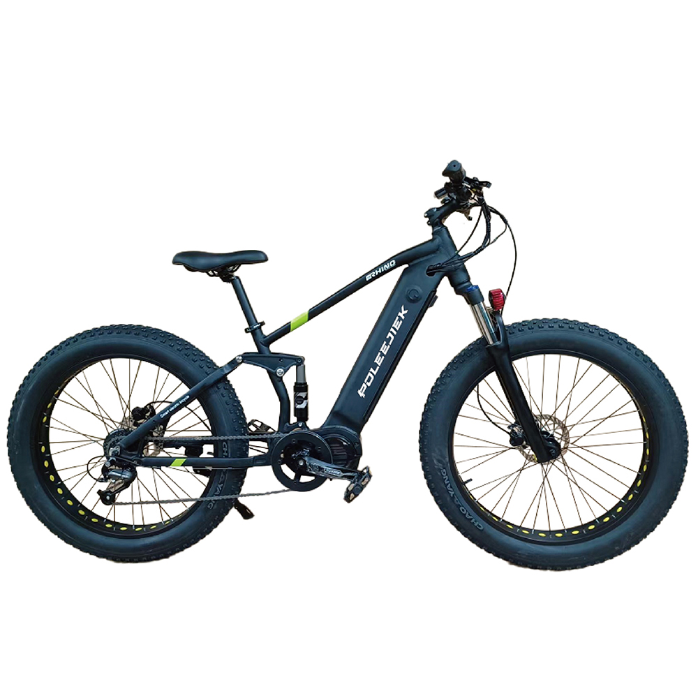 BLJ-2620 Mid Drive Electric Bike with 1000W Bafang Motor and 48V Battery