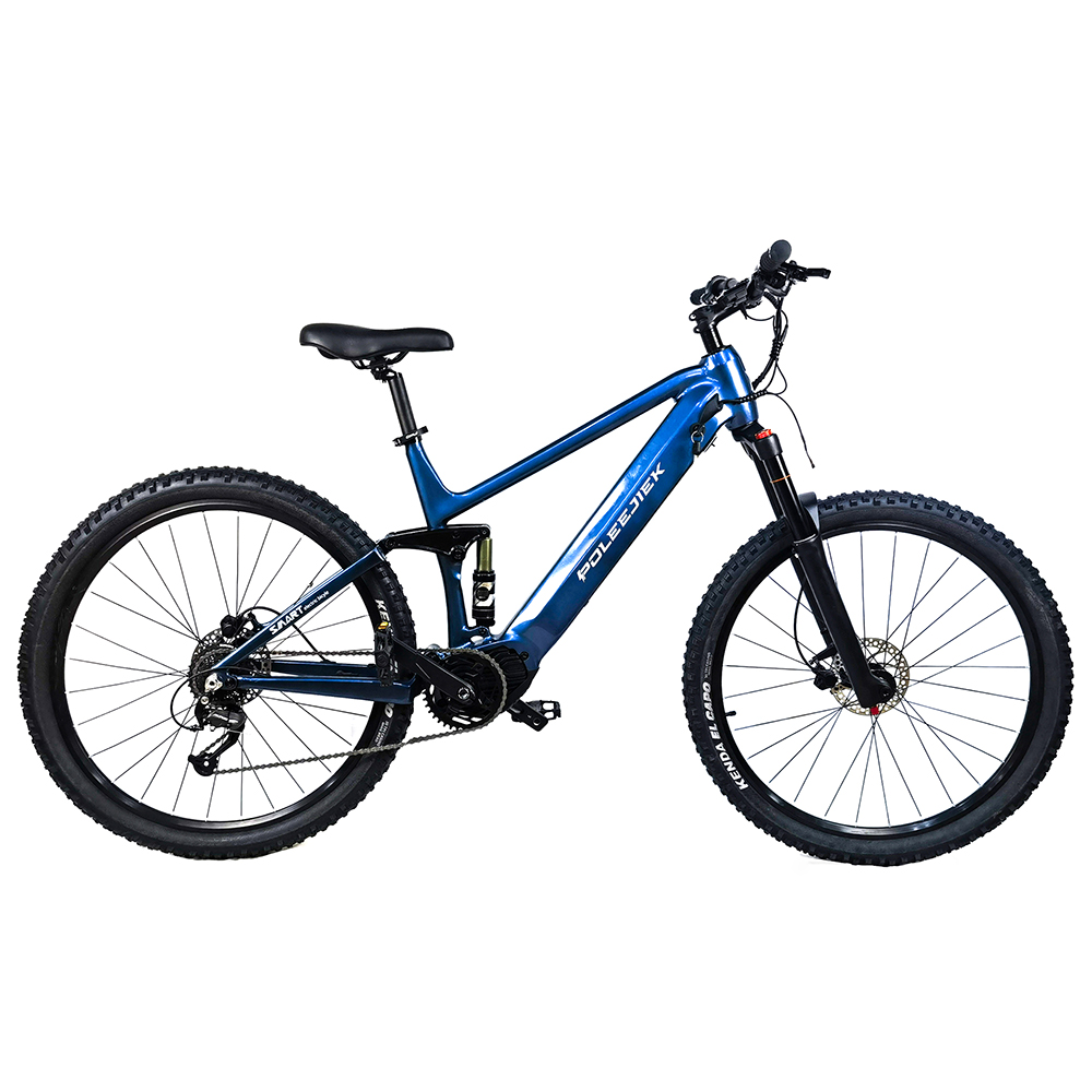 BLJ-2901 Mid Drive Electric Bike with 250W Bafang Motor and 48V Battery