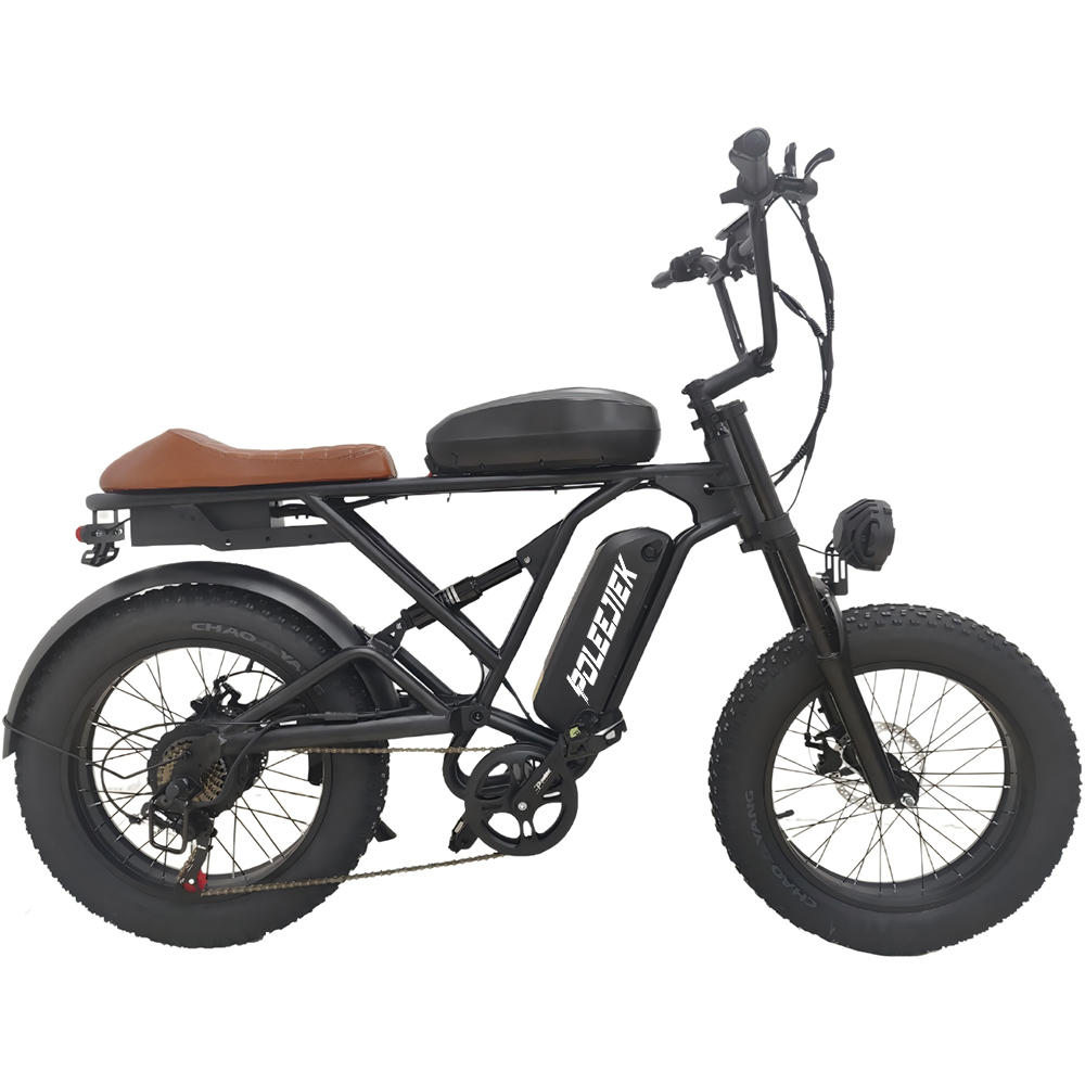BLJ-S2006 Classic Retro Electric Bike 1500W Hub Motor 48V Dual Battery | POLEEJIEK