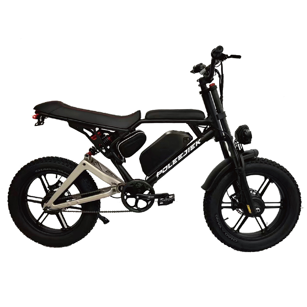 BLJ-S2007 Stylish Retro Electric Bike 750W Hub Motor 48V Battery | POLEEJIEK