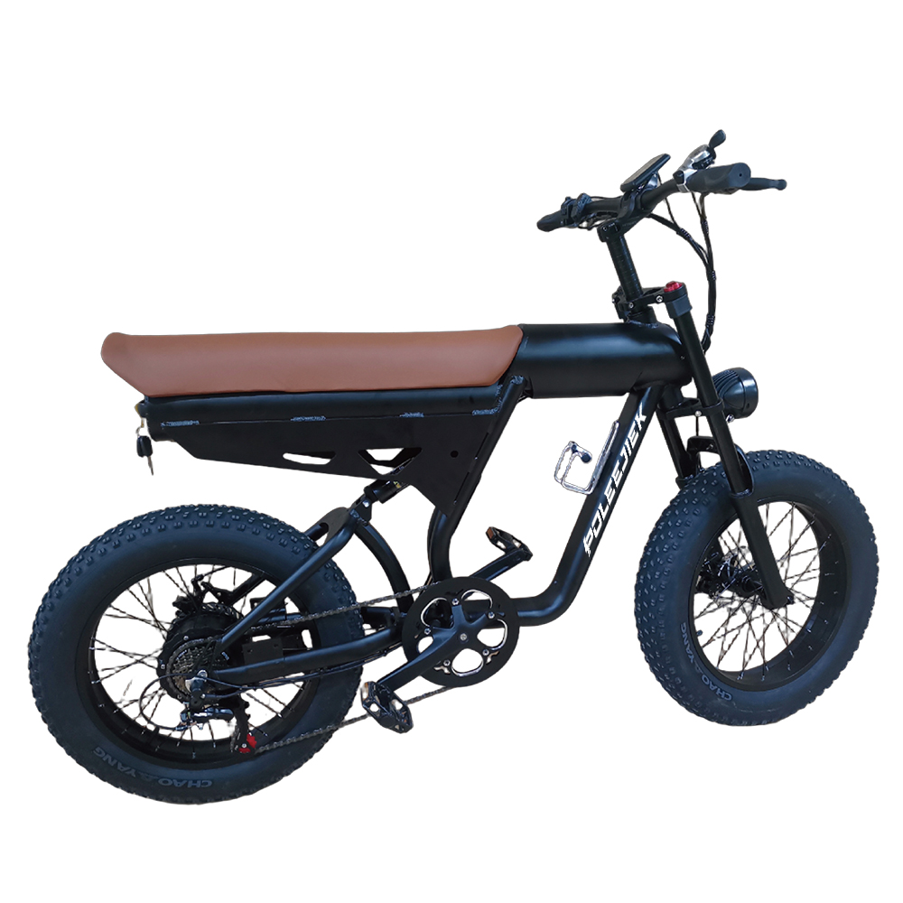 BLJ-2006 Vintage Retro Electric Bike 500W Hub Motor 48V Battery | POLEEJIEK