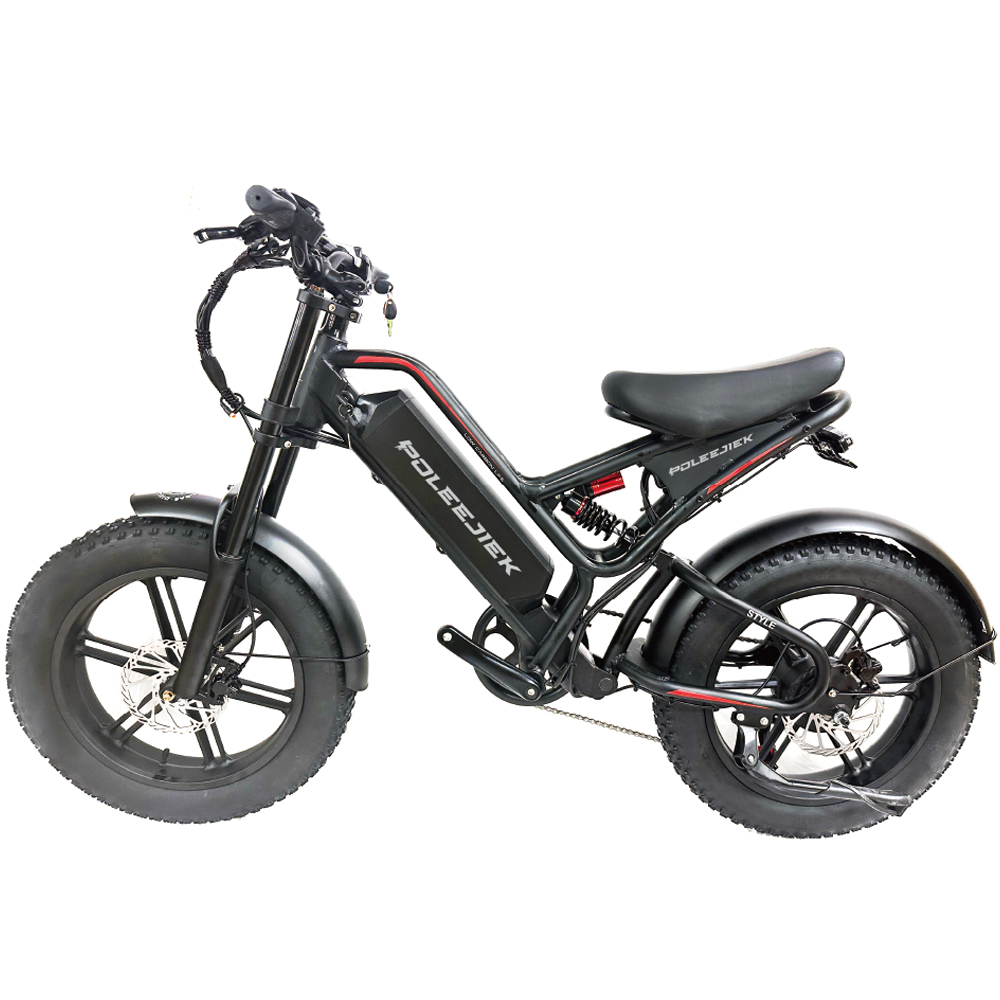 BLJ-2014 Premium Retro Electric Bike 750W Integrated Motor 48V Battery | POLEEJIEK