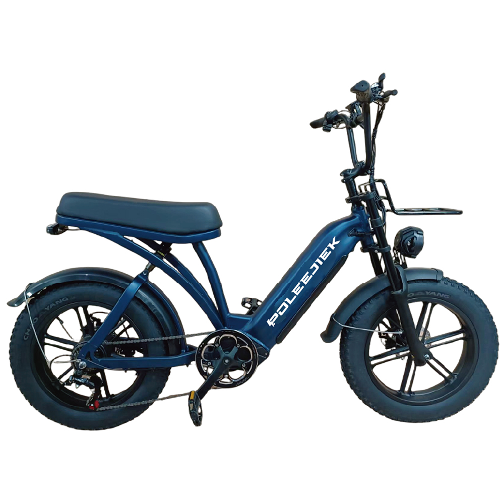 BLJ-2015 Premium Retro Electric Bike 500W Integrated Motor 48V Battery | POLEEJIEK