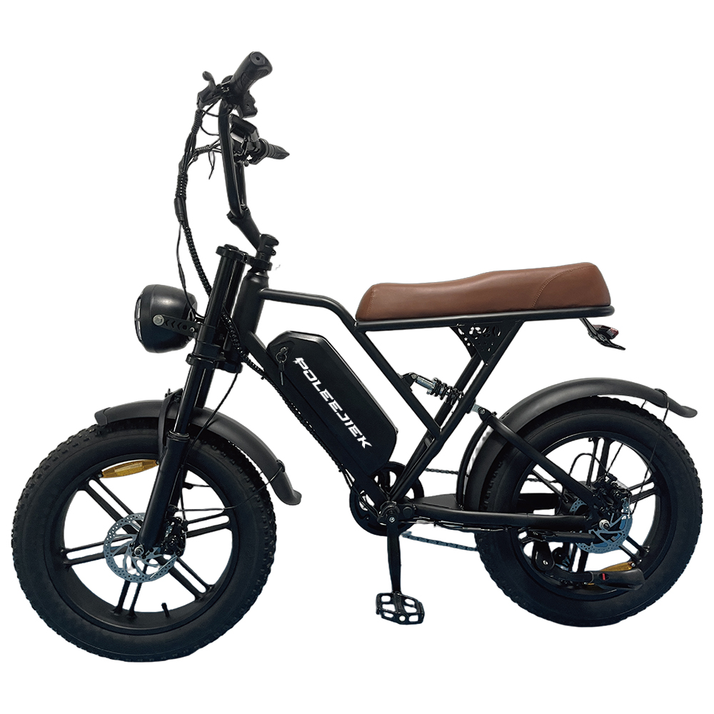BLJ-F010 Classic Retro Electric Bike 500W Hub Motor 48V Battery | POLEEJIEK