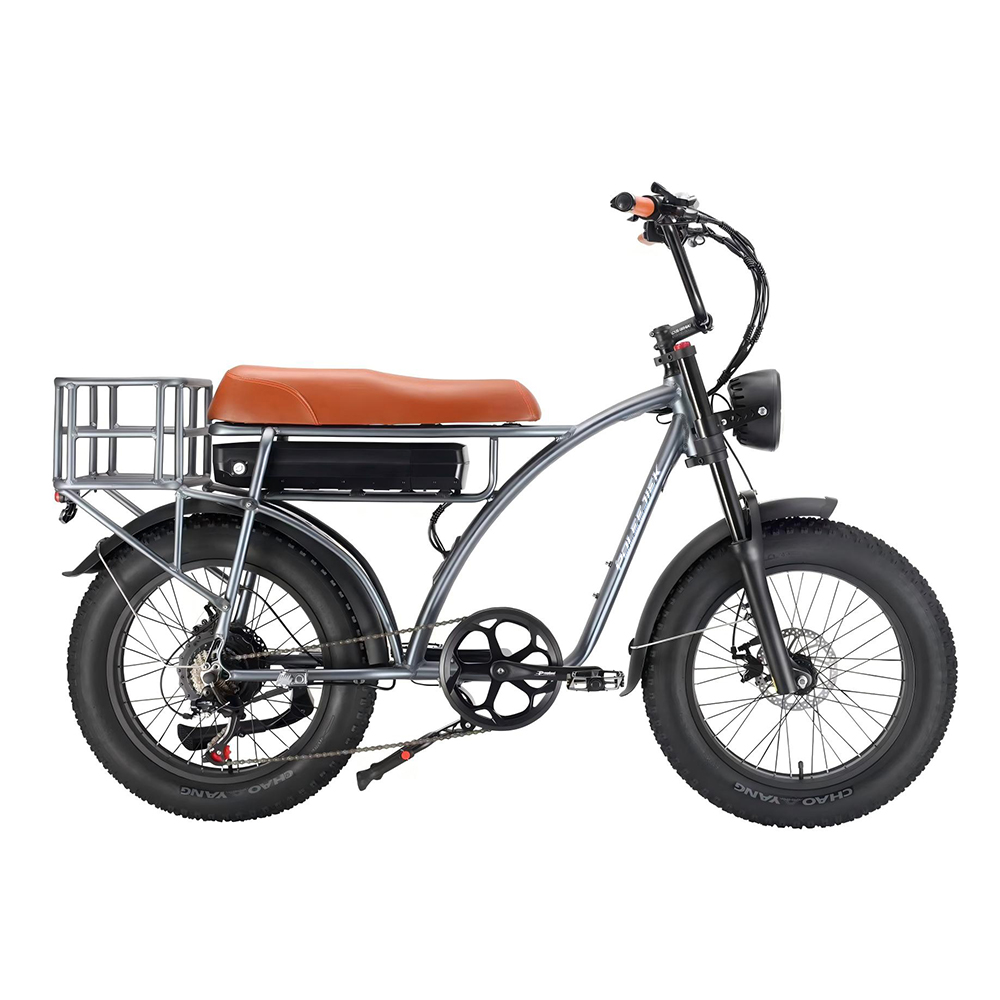 BLJ-S2005 Rugged Retro Electric Bike 2000W Dual-Drive Motor 48V Battery | POLEEJIEK
