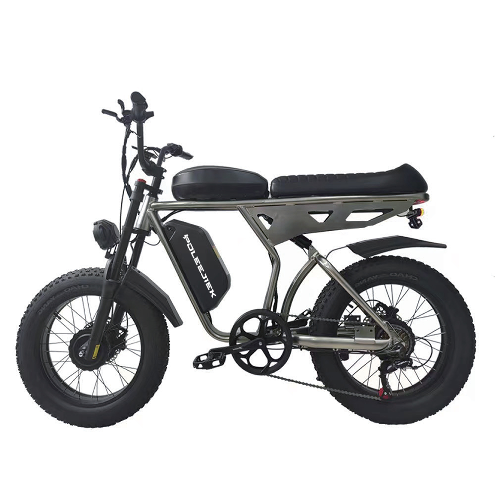 BLJ-S2008 Powerful Retro Electric Bike 2000W Dual-Drive Motor 48V Dual Battery | POLEEJIEK