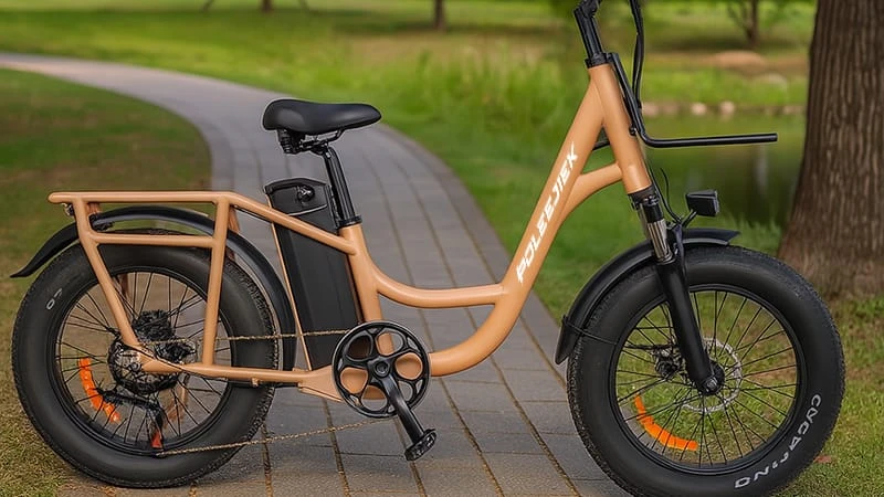 POLEEJIEK BLJ-2013 High-Power Cargo Electric Bike in urban setting