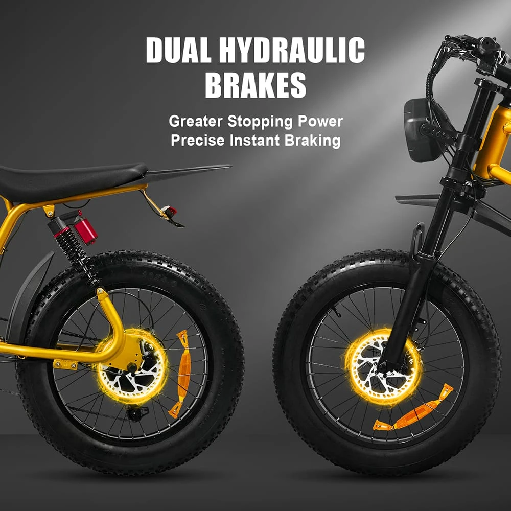 Dual Hydraulic Disc Brakes System