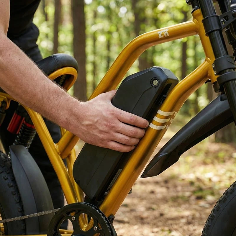 Removable 48V 20Ah high-capacity lithium battery for Poleejiek F6, ensuring long-range reliability for cold weather hunting.