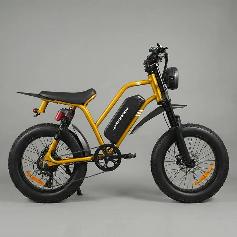 Side profile of the Poleejiek F6 electric dirt bike featuring 20-inch fat tires and a reinforced frame, representing the heavy-duty all-terrain category.