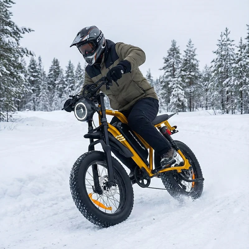 Poleejiek F6 1500w electric dirt bike for adults with fat tires off-road